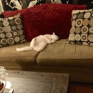 “Veggin’ Out”